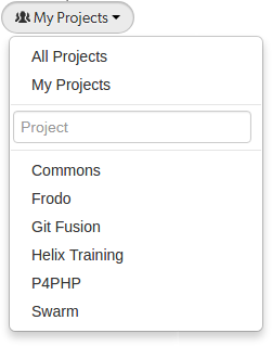 Image of the Project dropdown